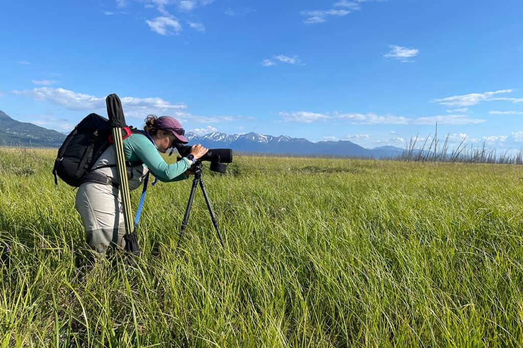 Biólogo investigador escaneando el paisaje en busca de aves con un telescopio