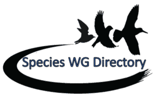Species working group text within Road to Recovery Logo with link to directory
