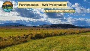 Image of Partnerscapes R2R Presentation Intro Slide