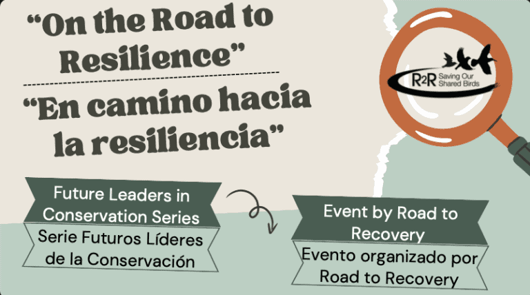 On the Road to Resilience presentation image