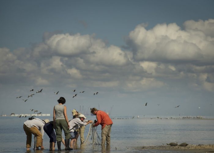 Photo Credit: Tim Romano